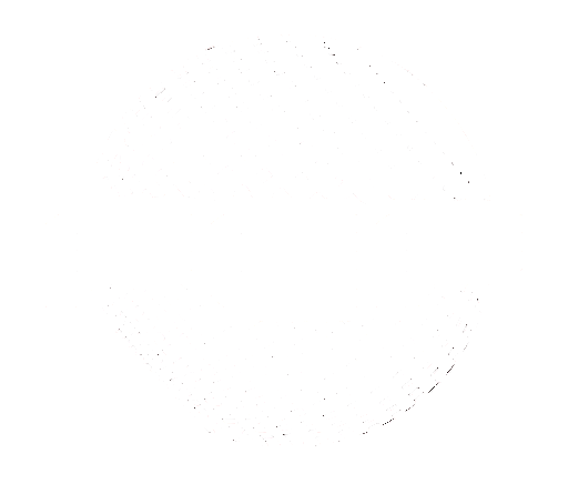 FEF logo 3