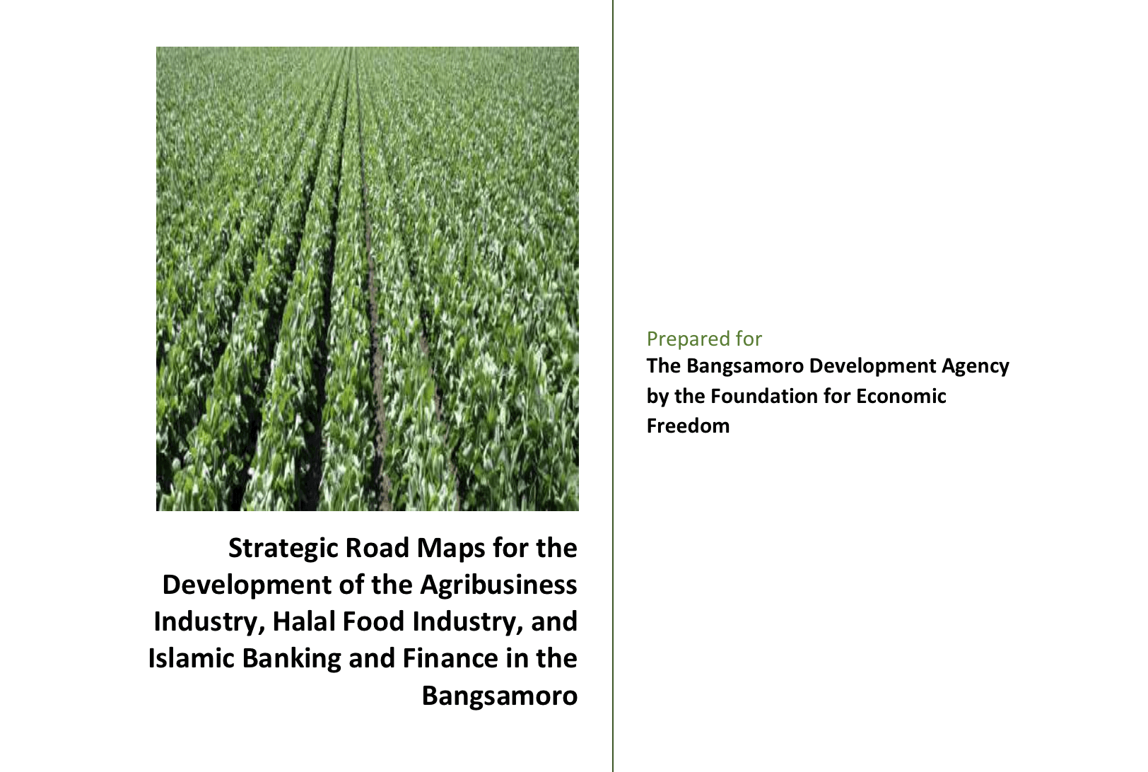 Strategic Road Maps for the Development of the Bangsamoro