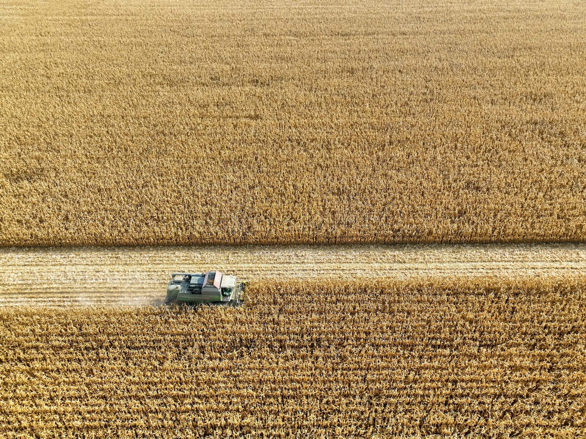 aerial drone view of corn harvest a photograph taken in agricultural lands in turkey 1 1